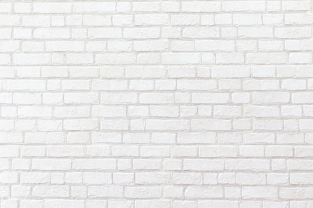 Expert Wallpaper Installation  Removal Services Near You